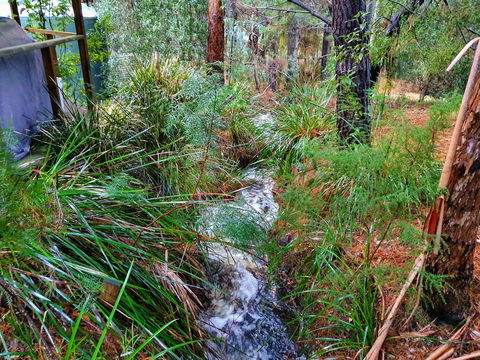 Roland B&B - Accommodation Rockhampton 22