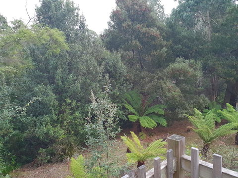 Roland B&B - Accommodation Rockhampton 41