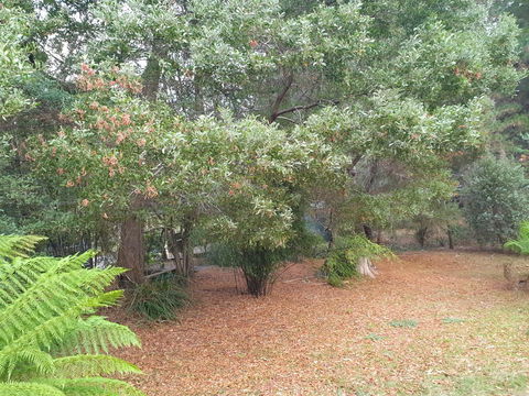 Roland B&B - Accommodation Rockhampton 40