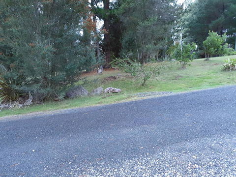 Roland B&B - Accommodation Rockhampton 24