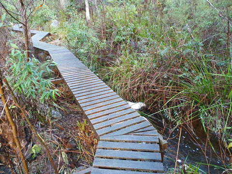 Roland B&B - Accommodation Rockhampton 34