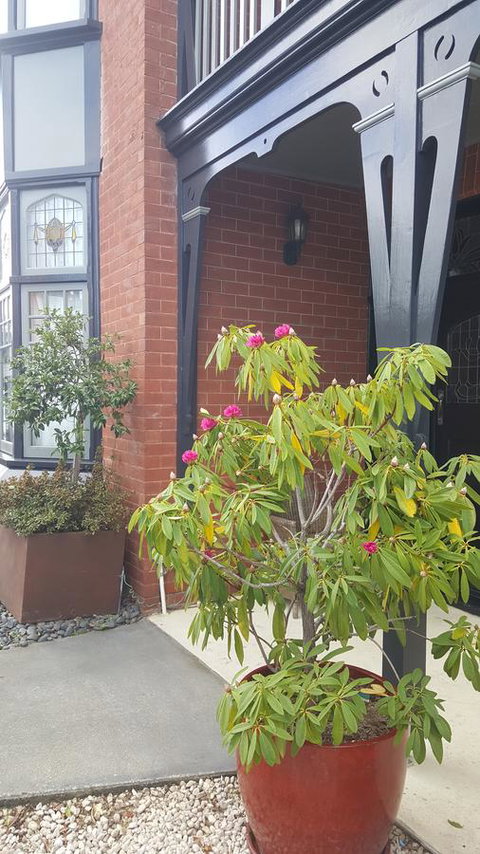 Insomnia On Elizabeth - Accommodation Rockhampton 35
