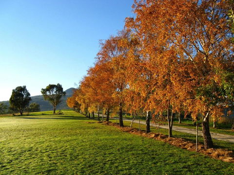 Plovers Ridge Country Retreat - Accommodation Rockhampton 8