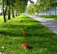 Plovers Ridge Country Retreat - Accommodation Rockhampton