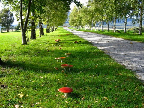 Plovers Ridge Country Retreat - Accommodation Rockhampton 0