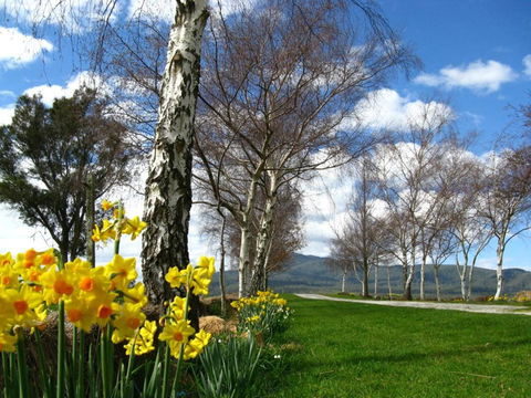 Plovers Ridge Country Retreat - Accommodation Rockhampton 4