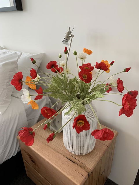 Anchorage Tasmania - Accommodation Rockhampton 3