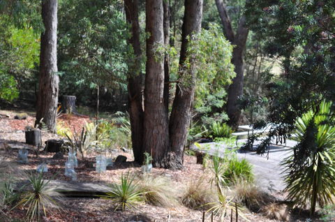 Oyster Cove Chalet - Accommodation Rockhampton 26