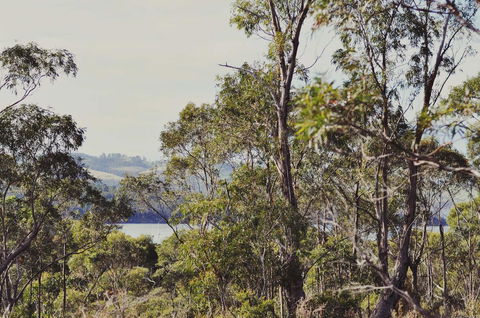 Oyster Cove Chalet - Accommodation Rockhampton 17