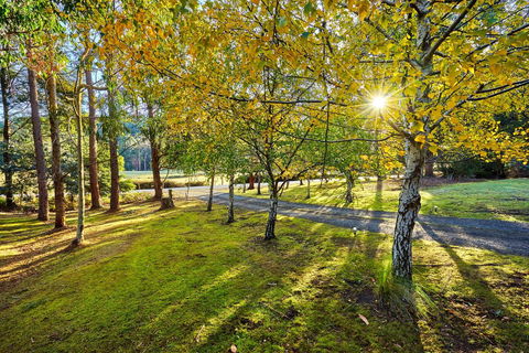 Oyster Cove Chalet - Accommodation Rockhampton 1
