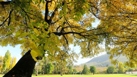 New Norfolk Junction Motel - Accommodation Rockhampton 17