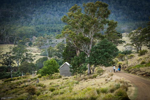 Twamley Farm - Accommodation Rockhampton 16
