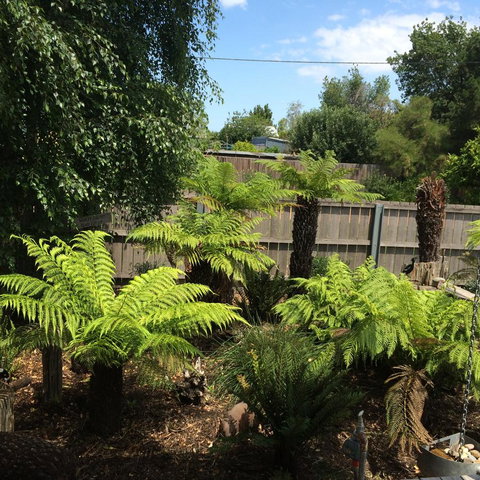 Pinestumps Holiday Home - Accommodation Rockhampton 14