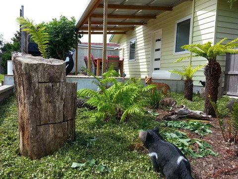 Pinestumps Holiday Home - Accommodation Rockhampton 12