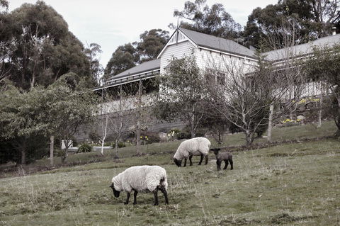 House On The Hill Bed And Breakfast - Accommodation Rockhampton 19