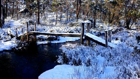 Cradle Mountain Love Shack - Accommodation Rockhampton 10