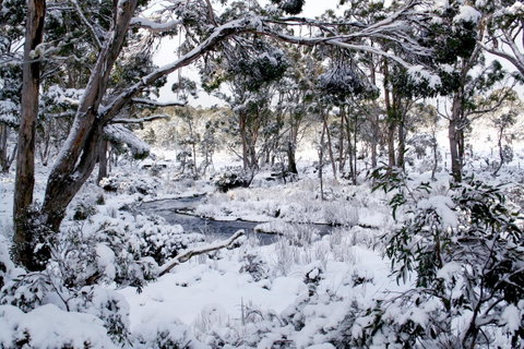 Cradle Mountain Love Shack - Accommodation Rockhampton 11