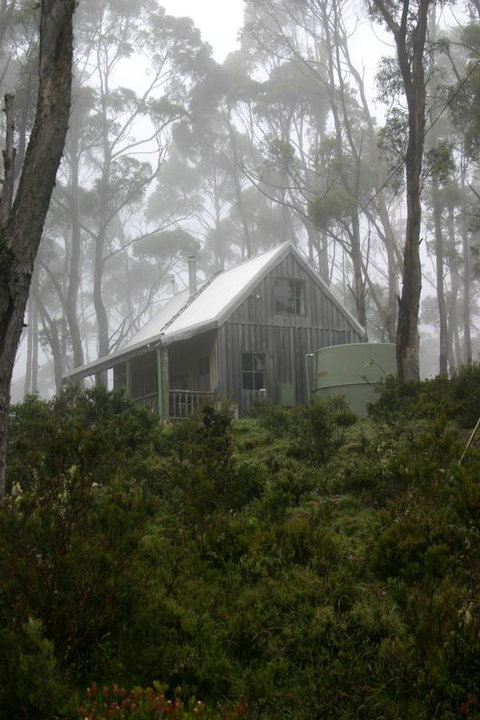 Cradle Mountain Love Shack - Accommodation Rockhampton 6