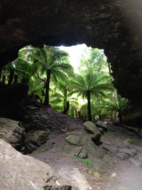 Sheer Pleasure Accommodation - Accommodation Rockhampton 21
