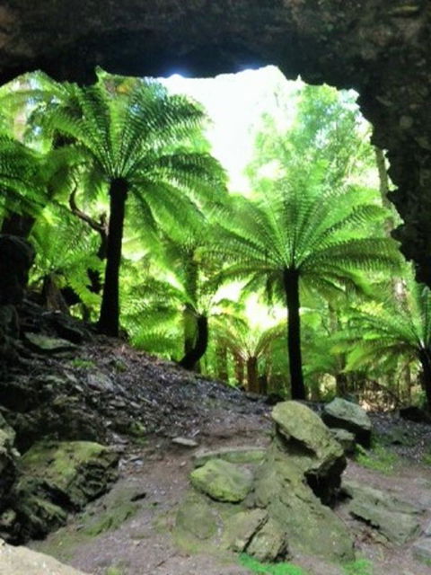 Sheer Pleasure Accommodation - Accommodation Rockhampton 22