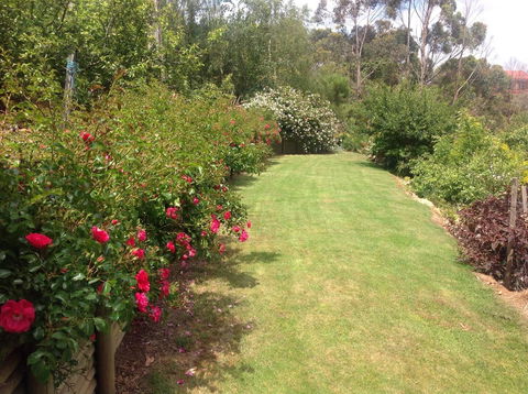 Sheer Pleasure Accommodation - Accommodation Rockhampton 7