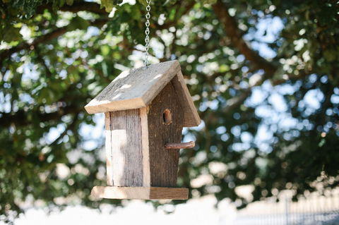 Old White Church Bed & Breakfast - Accommodation Rockhampton 31