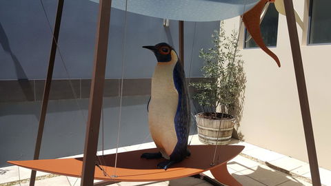 Blu-Sea 365 - Accommodation Rockhampton 21