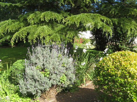 The Grove Cottages - Accommodation Rockhampton 12
