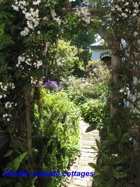 The Grove Cottages - Accommodation Rockhampton 3