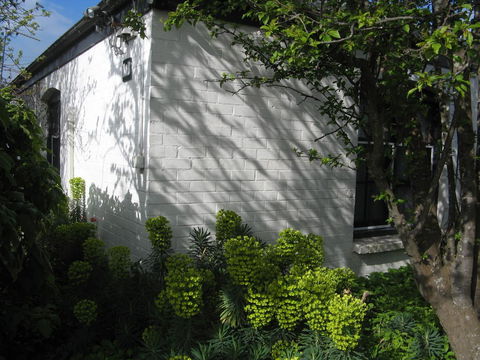 The Grove Cottages - Accommodation Rockhampton 13