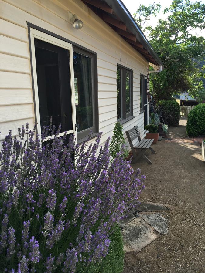 Campania TAS Accommodation Rockhampton
