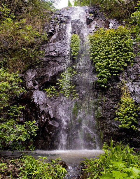 Nimbin Waterfall Retreat - Accommodation Rockhampton 3