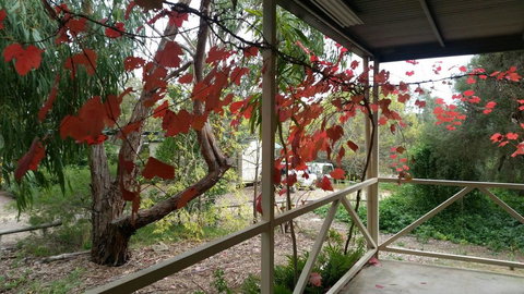 Padthaway Caravan Park - Accommodation Rockhampton 1