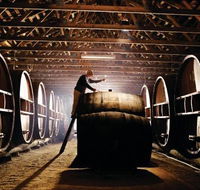 Pieter van Gent Winery  Vineyard - Accommodation Rockhampton