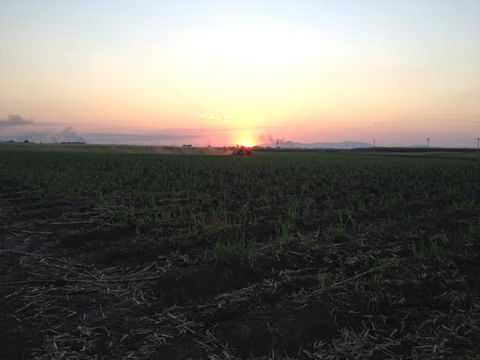 Plantation Park Motor Inn - Accommodation Rockhampton 3