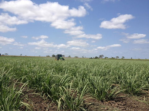 Plantation Park Motor Inn - Accommodation Rockhampton 2