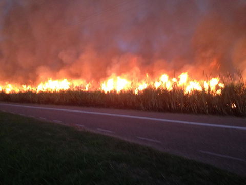 Plantation Park Motor Inn - Accommodation Rockhampton 1