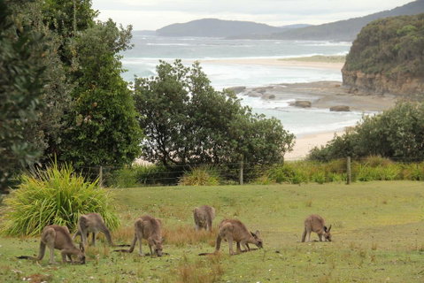 Pretty Beach Cabins - Accommodation Rockhampton 3