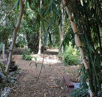 Rainforest Water Front River Shack Secluded. - Accommodation Rockhampton
