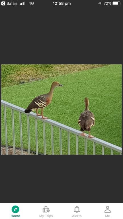 Resort Living - Accommodation Rockhampton 3
