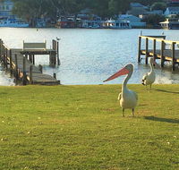 Riverfront Getaway - Mannum - Accommodation Rockhampton