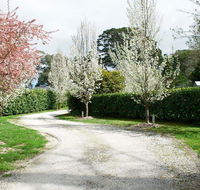 Robin Hill Manor - rambling retreat  tennis court - Accommodation Rockhampton