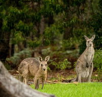 Secura Lifestyle Countryside Kalaru - Accommodation Rockhampton