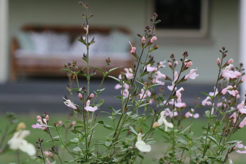 Serendipity On Allyn - Accommodation Rockhampton 0