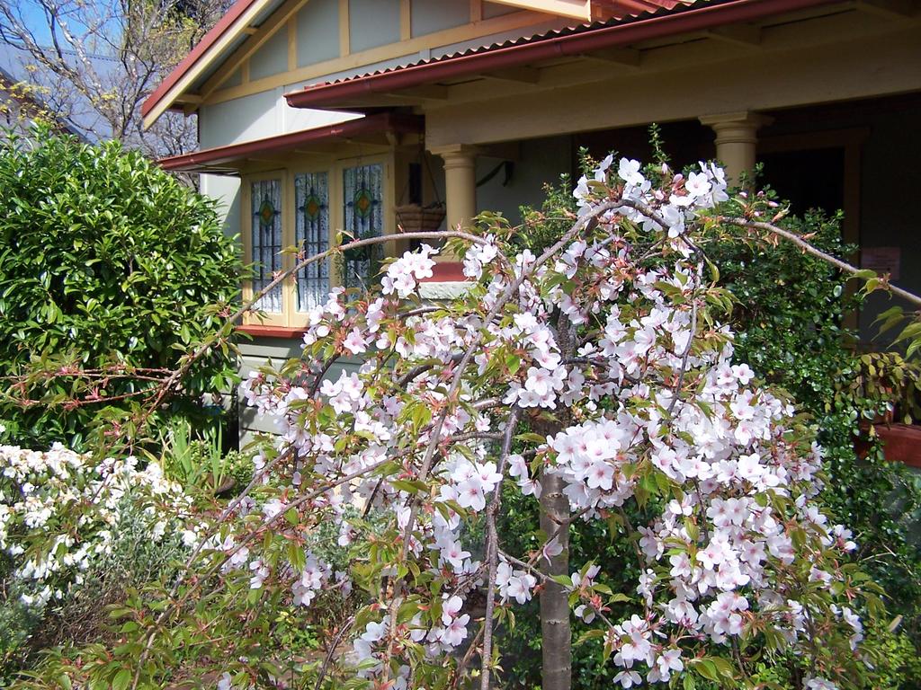 Katoomba NSW Accommodation Rockhampton