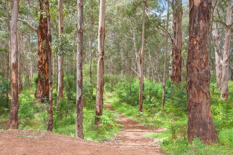 Shiraz Studio - Accommodation Rockhampton 1