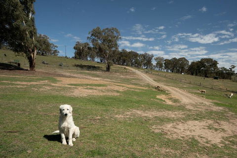 Sithuri Tiny House - Accommodation Rockhampton 3