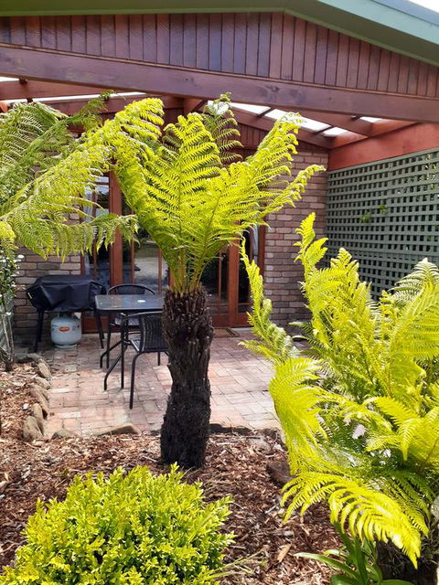 Sleepy Hollow Hideout (Hidout 2) - Accommodation Rockhampton 1