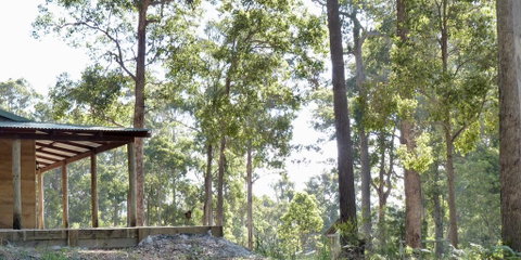 Southern Forest Escape Pemberton - Accommodation Rockhampton 1