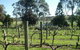 Southern Vales Bed & Breakfast - thumb 1